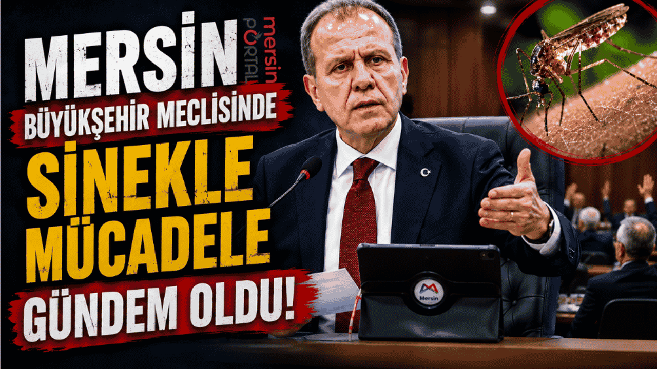 Mersin Büyükşehir Meclisinde  Sinekle Mücadele Gündem Oldu