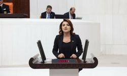 Gülcan Kış: "Saray, Meclis'i Fiilen Devre Dışı Bıraktı!"