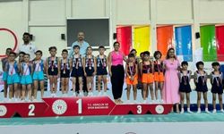 Cimnastikte Mersin Fırtınası: Takım Şampiyon, Sporcular Dereceye Girdi!