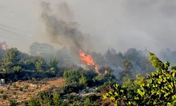 Silifke’de Orman Yangını İkinci Gününde: Müdahale Havadan ve Karadan Sürüyor