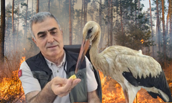 Yangından Kaçan Yaralı Leylek Anamur’da Koruma Altına Alındı