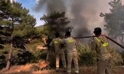 Silifke’de Orman Yangını Yerleşim Yerlerini ve Fabrikayı Tehdit Ediyor