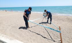 Mezitli’de Caretta Caretta Alarmı: Sahillerde Nöbet Devam Ediyor