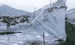 Mersin’de Hortum Sebze ve Muz Seralarına Zarar Verdi