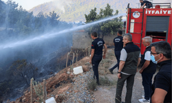 Vali Toros, Karatepe Yangın Bölgesinde İncelemelerde Bulundu