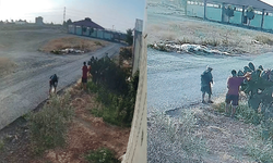 Bozyazı’ya gelen bazı yazlıkçılar bahçelerden meyve araklıyor iddiası