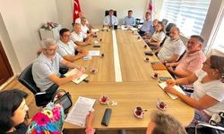 Mersin pestisit denetimlerinde pilot il oldu
