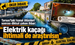 Tarsus’taki kanal ölümleri sonrası dikkat çeken ihbar: