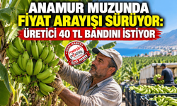 Anamur muzunda fiyat arayışı sürüyor: Üretici 40 TL bandını istiyor