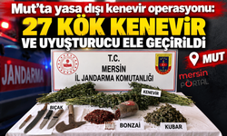 Mut’ta yasa dışı kenevir operasyonu: 27 kök kenevir ve uyuşturucu ele geçirildi