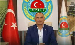 Silifke’de limon üreticisinin hesabı tutmadı: Dalında satmayan depoda zarar etti