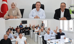 Gülnar Meclisi’nde 741 bin 500 avroluk AB projesi krizi!
