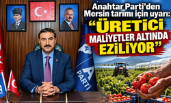 Mersin tarımı için uyarı: “Üretici maliyetler altında eziliyor”