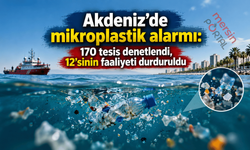 Akdeniz’de mikroplastik alarmı: 170 tesis denetlendi, 12’sinin faaliyeti durduruldu