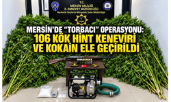 Mersin’de “torbacı” operasyonu: 106 kök Hint keneviri ve kokain ele geçirildi
