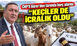 CHP’li Gürer’den tarımda borç alarmı: “Keçiler de icralık oldu”