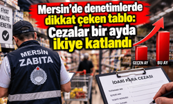 Mersin’de denetimlerde dikkat çeken tablo: Cezalar bir ayda ikiye katlandı