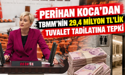 Perihan Koca’dan TBMM’nin 29,4 milyon TL’lik tuvalet tadilatına tepki