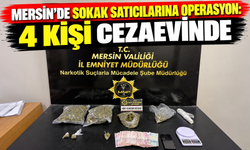 Mersin’de sokak satıcılarına operasyon: 4 kişi cezaevinde