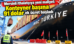 Mersinli ithalatçıya yeni maliyet: Konteyner başına 91 dolar ek ücret başladı