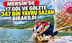 Mersin’de 17 göl ve gölete 347 bin yavru sazan bırakıldı