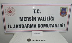 Anamur’da tarihi eser operasyonu: 6 obje ele geçirildi
