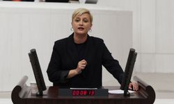 DEM Partili Koca’dan Seçer, Özyiğit ve Tuncer’in tutuklanmasına sert tepki
