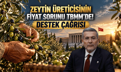Mersin'de 250 Bin Ton Zeytin Üretiliyor! Fiyatlar Üreticiyi Zorluyor