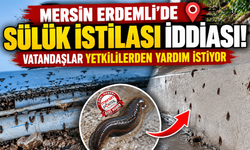 Erdemli’de Üreticinin Sülük Çilesi! “Evimizin İçi Dışı Bunlarla Dolu”