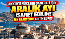 Akkuyu Nükleer Santrali İçin Aralık Ayı İşaret Edildi! İlk Reaktörde Kritik Süreç