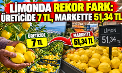 Limonda fiyat farkı rekor kırdı: Üreticide 7, markette 51,34 TL