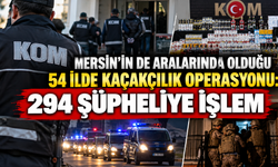 Kaçakçılığa 54 ilde büyük operasyon: Mersin de listede