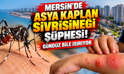 Mersin'de Asya Kaplan Sivrisineği Şüphesi! Vatandaşlardan Şikâyet