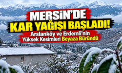 Mersin'in Yüksek Kesimlerine Kar Yağışı Başladı!