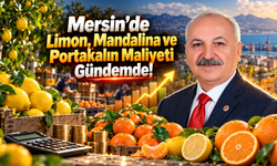 Mersin'de Limon, Mandalina ve Portakalın Maliyeti Gündemde!