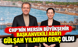 Vahap Seçer’in ardından CHP’nin başkanvekili adayı netleşti