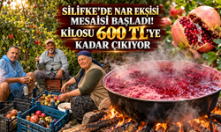 Silifke’de Nar Ekşisi Mesaisi Başladı! Kilosu 600 TL’ye Kadar Çıkıyor