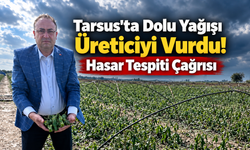 Tarsus'ta Dolu Yağışı Üreticiyi Vurdu! Hasar Tespiti Çağrısı
