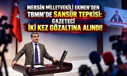 Ekmen’den Meclis’te Basın Özgürlüğü Çıkışı: Türkiye’de Bu Konu Yazılamıyor!