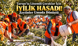 Tarsus’ta Lösemili Çocuklar İçin İyilik Hasadı! Zeytinler Umuda Dönüştü