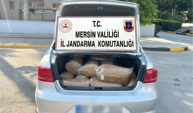 Mersin’de Jandarmadan Kaçak Tütün Operasyonu