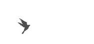 Mersin Portal | Mersin'in Haber Portalı